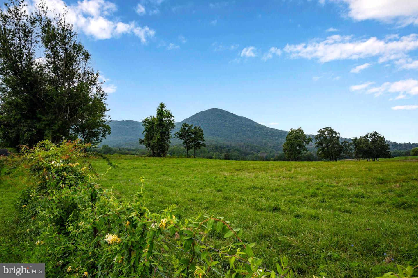 LOT 46A STRASBURG RD, FRONT ROYAL, Virginia 22630, ,Land,For sale,LOT 46A STRASBURG RD,VAWR2011934 MLS # VAWR2011934