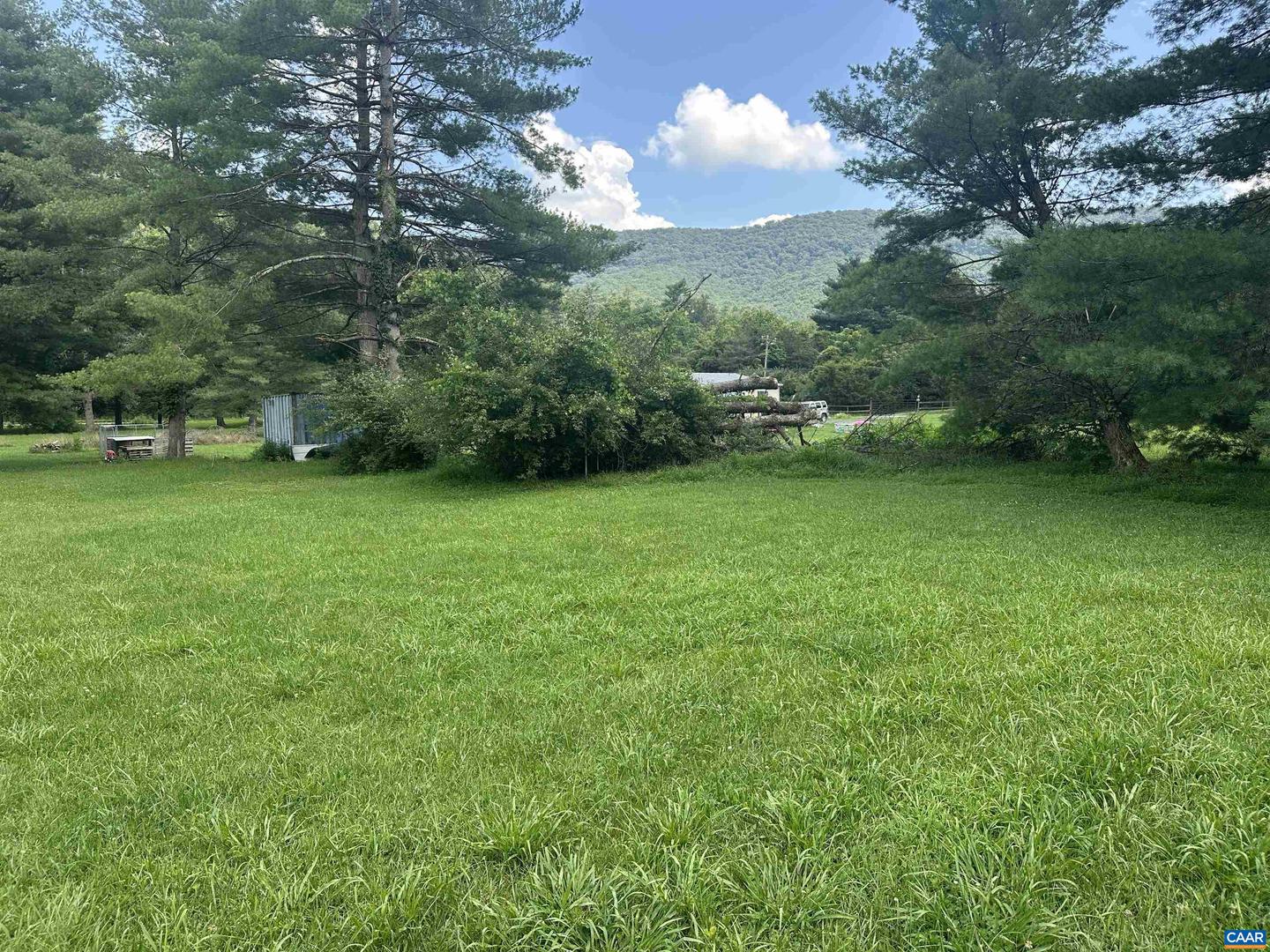 16843 RUNIONS CREEK RD, BROADWAY, Virginia 22815, ,Land,For sale,16843 RUNIONS CREEK RD,667651 MLS # 667651