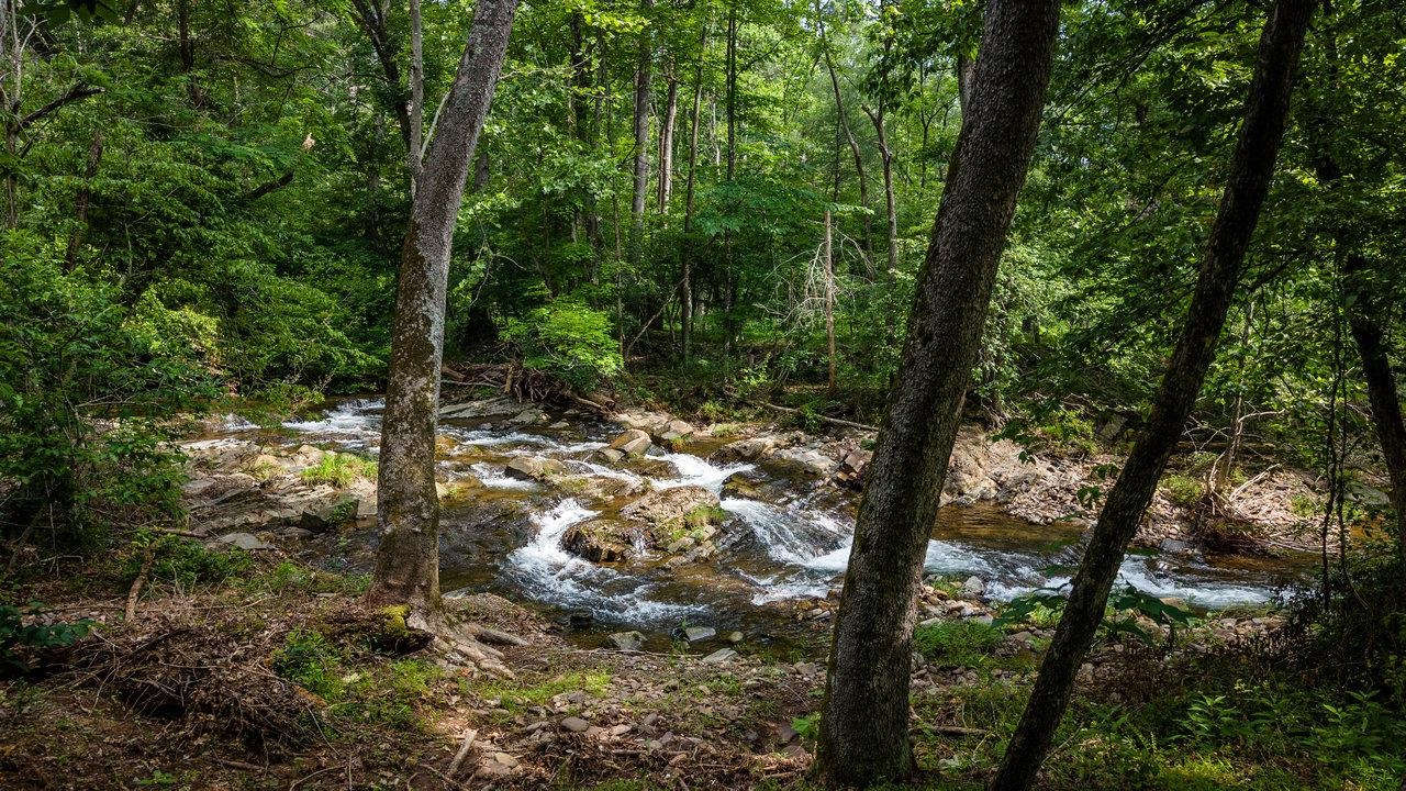 9458 HOPKINS GAP RD, FULKS RUN, Virginia 22830, 3 Bedrooms Bedrooms, ,2 BathroomsBathrooms,Residential,9458 HOPKINS GAP RD,667629 MLS # 667629