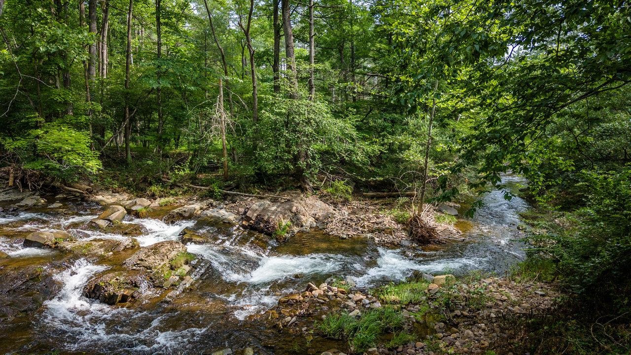 9458 HOPKINS GAP RD, FULKS RUN, Virginia 22830, 3 Bedrooms Bedrooms, ,2 BathroomsBathrooms,Residential,9458 HOPKINS GAP RD,667629 MLS # 667629