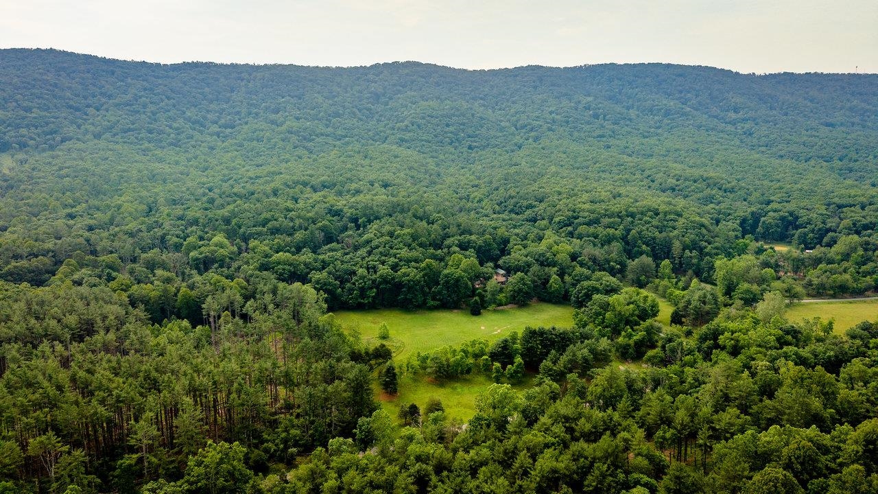 9458 HOPKINS GAP RD, FULKS RUN, Virginia 22830, 3 Bedrooms Bedrooms, ,2 BathroomsBathrooms,Residential,9458 HOPKINS GAP RD,667629 MLS # 667629