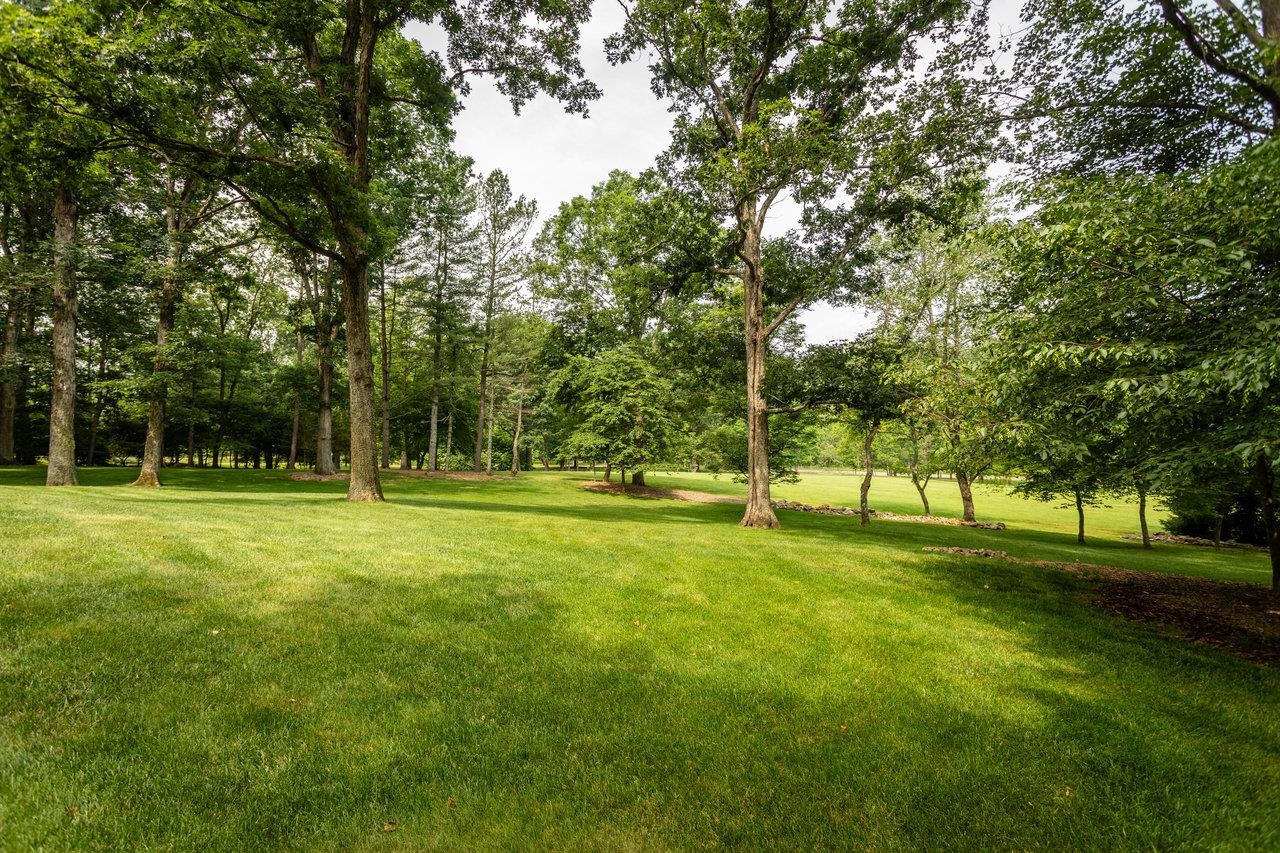 9458 HOPKINS GAP RD, FULKS RUN, Virginia 22830, 3 Bedrooms Bedrooms, ,2 BathroomsBathrooms,Residential,9458 HOPKINS GAP RD,667629 MLS # 667629