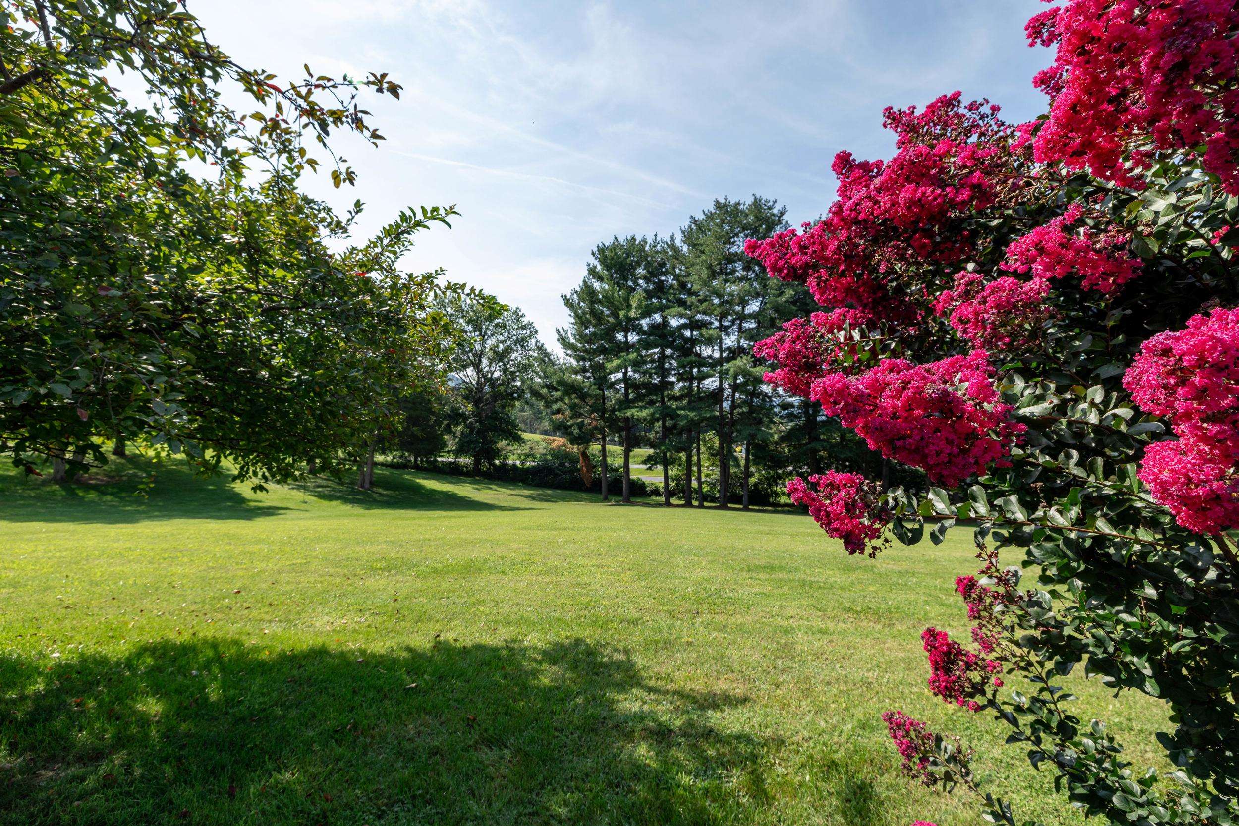 210 MONGER HILL RD, ELKTON, Virginia 22827, 3 Bedrooms Bedrooms, ,2 BathroomsBathrooms,Residential,210 MONGER HILL RD,667633 MLS # 667633