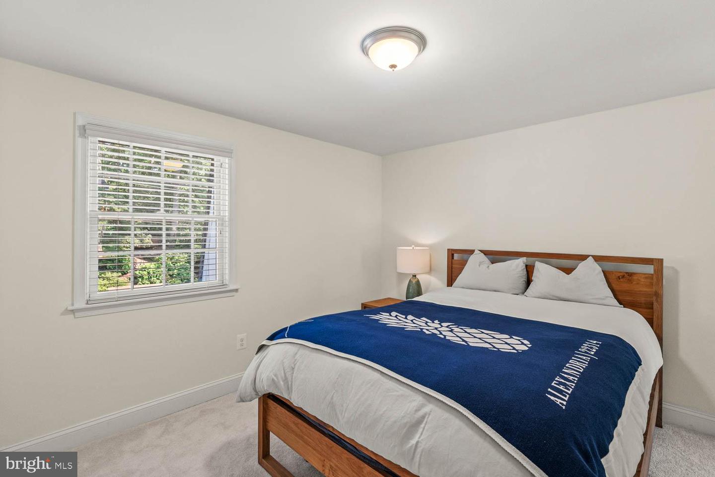 9326 FAIRFAX ST, ALEXANDRIA, Virginia 22309, 6 Bedrooms Bedrooms, ,3 BathroomsBathrooms,Residential,For sale,9326 FAIRFAX ST,VAFX2253714 MLS # VAFX2253714