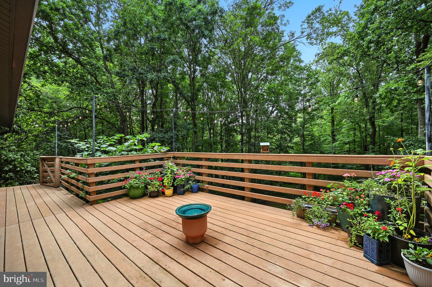 2919 JACKSON DR, HAYMARKET, Virginia 20169, 4 Bedrooms Bedrooms, ,2 BathroomsBathrooms,Residential,For sale,2919 JACKSON DR,VAPW2100194 MLS # VAPW2100194