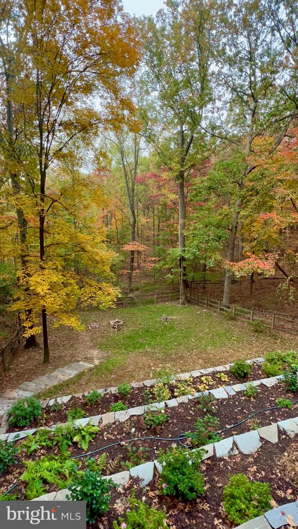 2919 JACKSON DR, HAYMARKET, Virginia 20169, 4 Bedrooms Bedrooms, ,2 BathroomsBathrooms,Residential,For sale,2919 JACKSON DR,VAPW2100194 MLS # VAPW2100194