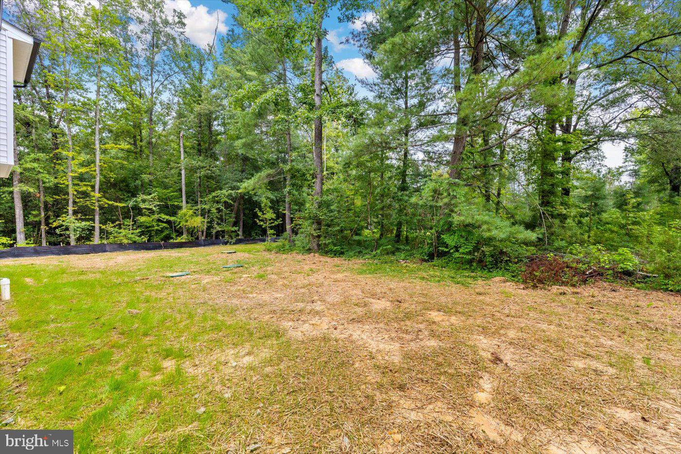 15439 PAIGE RD, WOODFORD, Virginia 22580, 4 Bedrooms Bedrooms, 13 Rooms Rooms,3 BathroomsBathrooms,Residential,For sale,15439 PAIGE RD,VACV2008592 MLS # VACV2008592