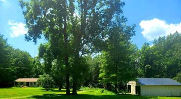 21087 GOLDFINCH LN, LEESBURG, Virginia 20175, 3 Bedrooms Bedrooms, ,1 BathroomBathrooms,Residential,For sale,21087 GOLDFINCH LN,VALO2103630 MLS # VALO2103630