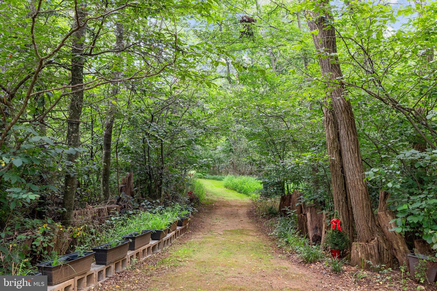 17400 RYLAND CHAPEL RD, RIXEYVILLE, Virginia 22737, 4 Bedrooms Bedrooms, ,3 BathroomsBathrooms,Residential,For sale,17400 RYLAND CHAPEL RD,VACU2011166 MLS # VACU2011166