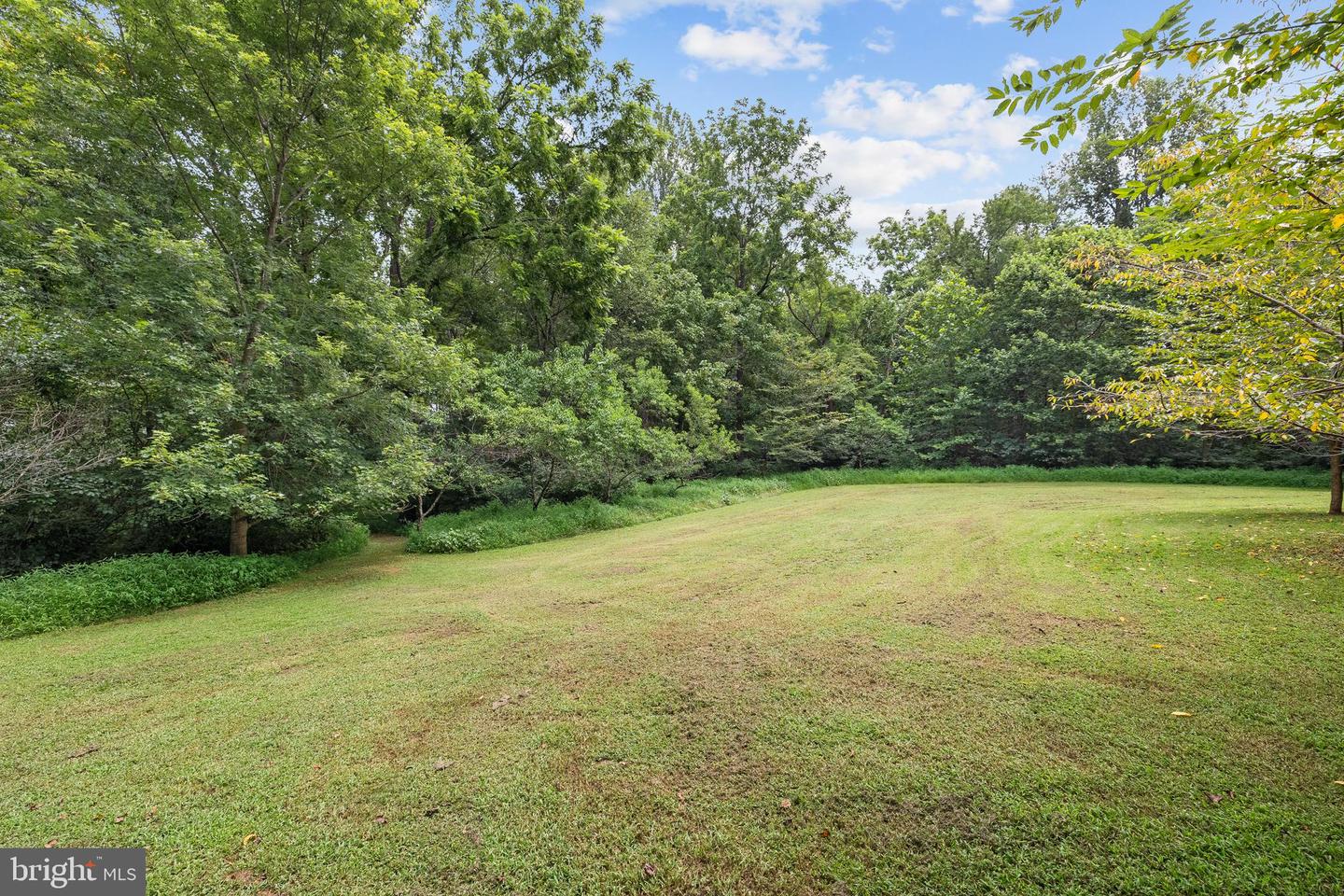 17400 RYLAND CHAPEL RD, RIXEYVILLE, Virginia 22737, 4 Bedrooms Bedrooms, ,3 BathroomsBathrooms,Residential,For sale,17400 RYLAND CHAPEL RD,VACU2011166 MLS # VACU2011166