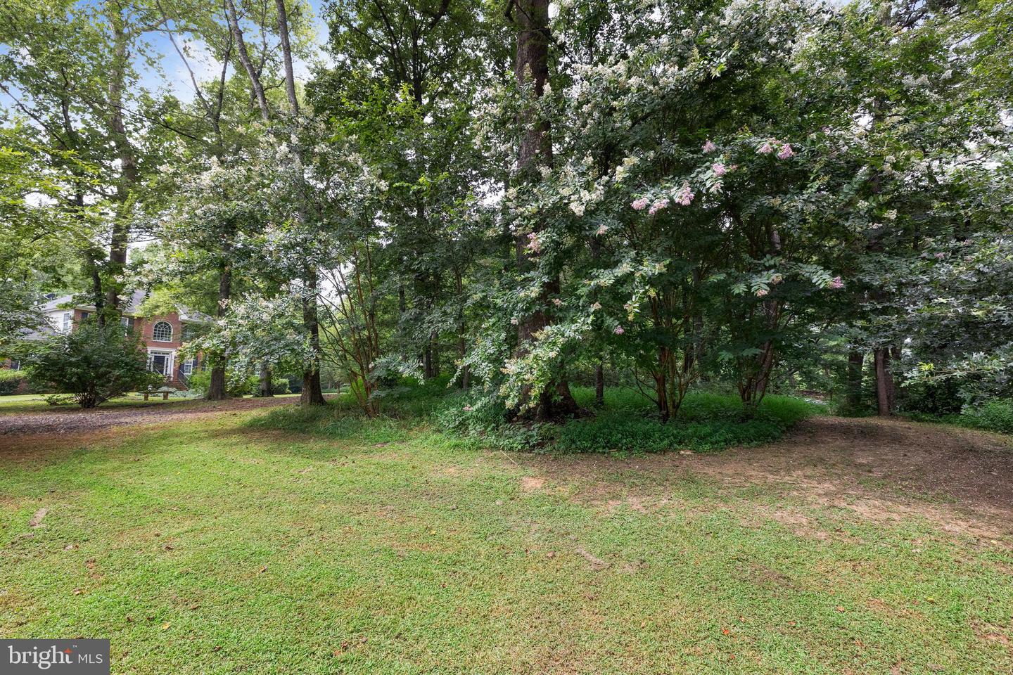 17400 RYLAND CHAPEL RD, RIXEYVILLE, Virginia 22737, 4 Bedrooms Bedrooms, ,3 BathroomsBathrooms,Residential,For sale,17400 RYLAND CHAPEL RD,VACU2011166 MLS # VACU2011166