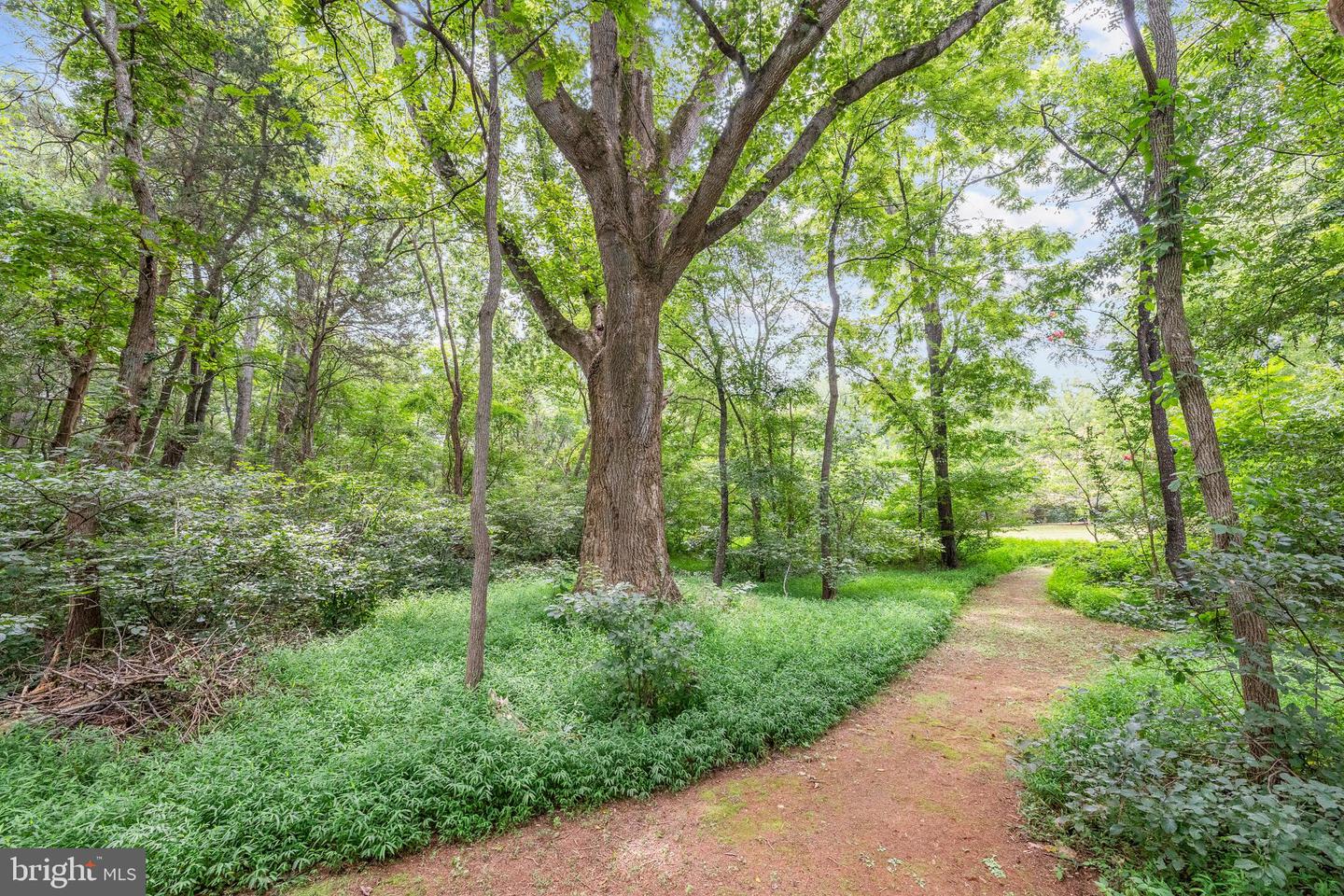 17400 RYLAND CHAPEL RD, RIXEYVILLE, Virginia 22737, 4 Bedrooms Bedrooms, ,3 BathroomsBathrooms,Residential,For sale,17400 RYLAND CHAPEL RD,VACU2011166 MLS # VACU2011166