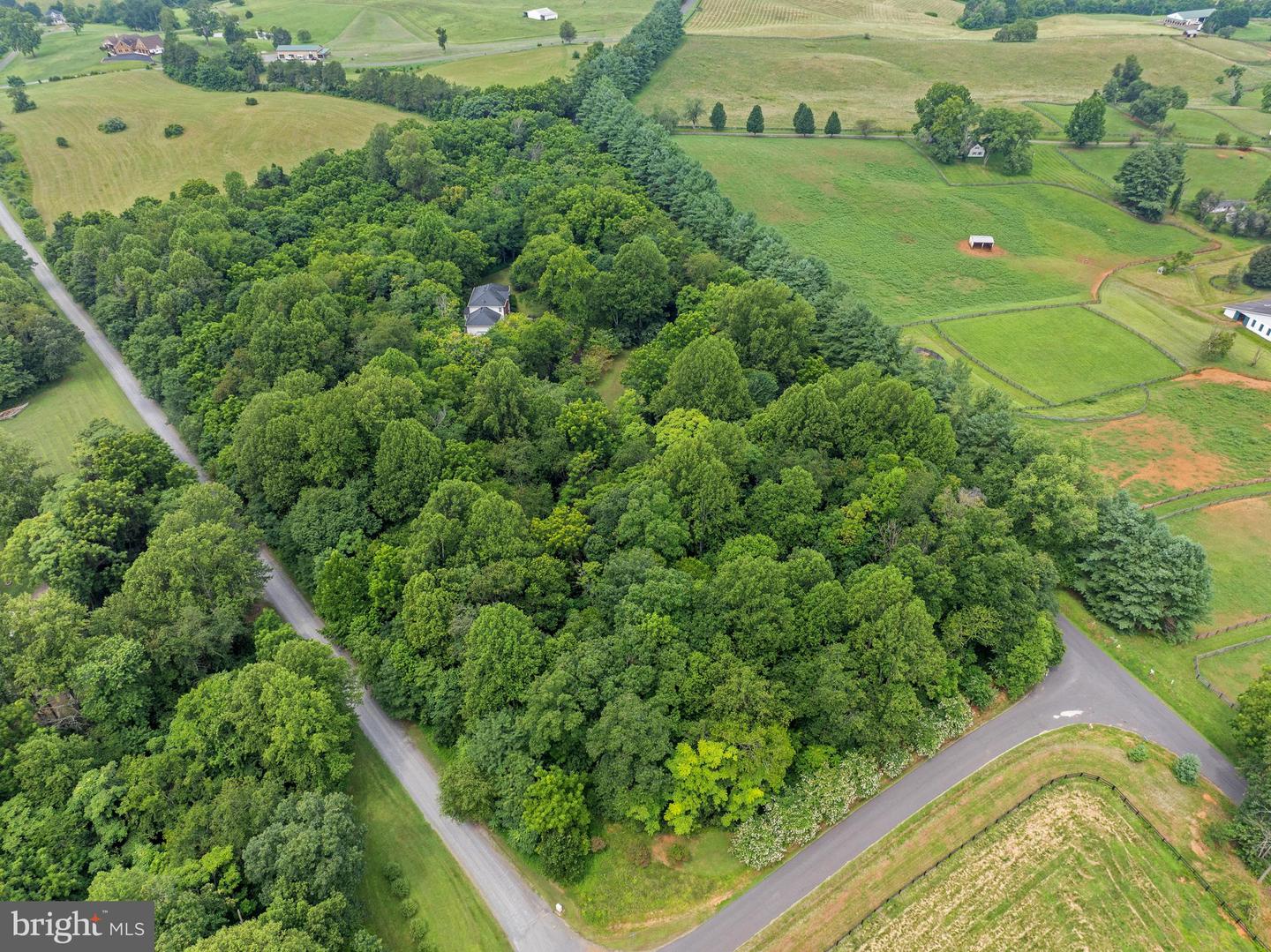 17400 RYLAND CHAPEL RD, RIXEYVILLE, Virginia 22737, 4 Bedrooms Bedrooms, ,3 BathroomsBathrooms,Residential,For sale,17400 RYLAND CHAPEL RD,VACU2011166 MLS # VACU2011166
