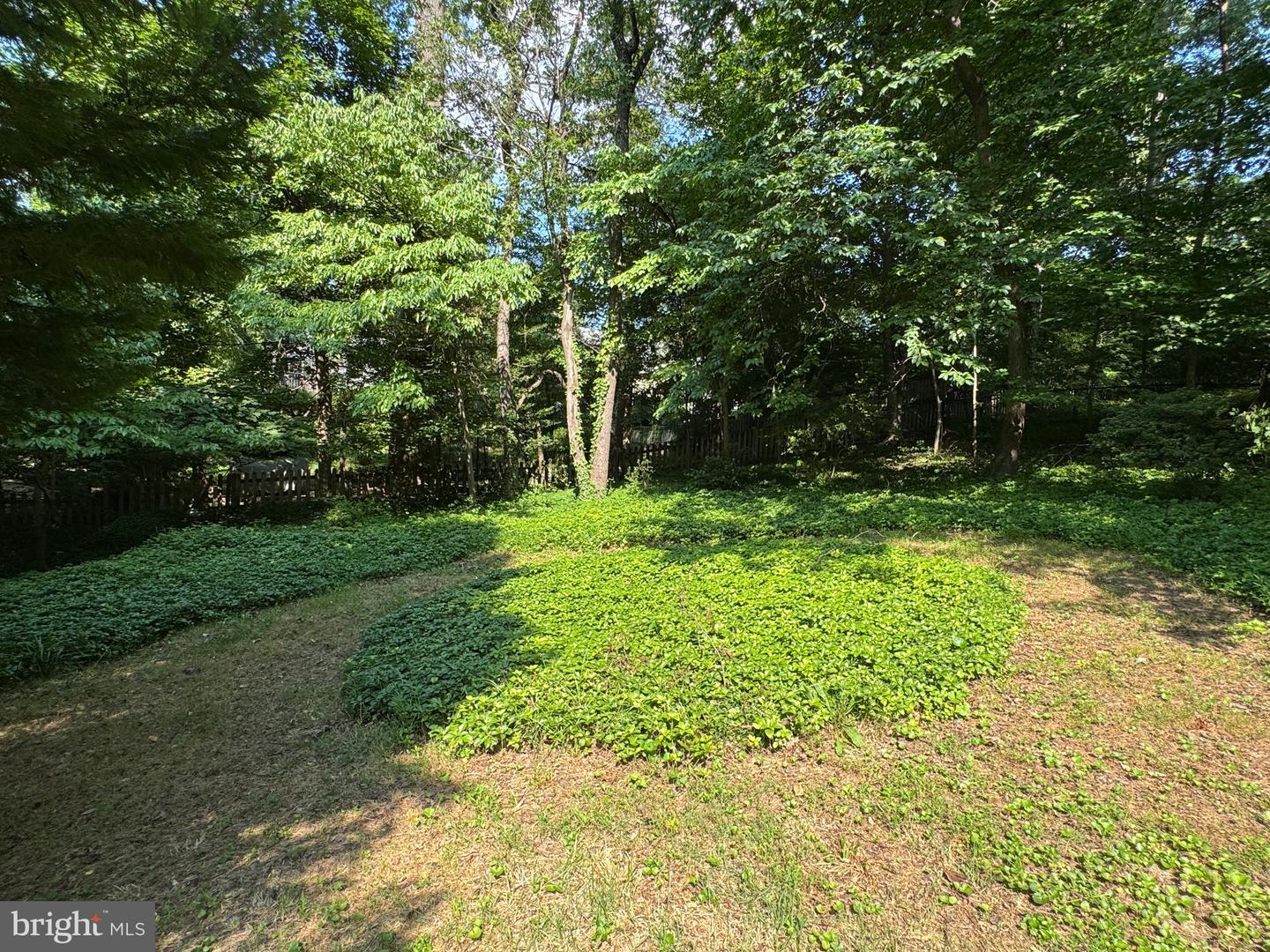 2431 N TAYLOR ST, ARLINGTON, Virginia 22207, 3 Bedrooms Bedrooms, ,3 BathroomsBathrooms,Residential,For sale,2431 N TAYLOR ST,VAAR2061794 MLS # VAAR2061794