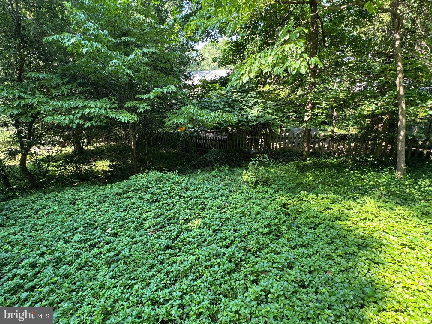 2431 N TAYLOR ST, ARLINGTON, Virginia 22207, 3 Bedrooms Bedrooms, ,3 BathroomsBathrooms,Residential,For sale,2431 N TAYLOR ST,VAAR2061794 MLS # VAAR2061794