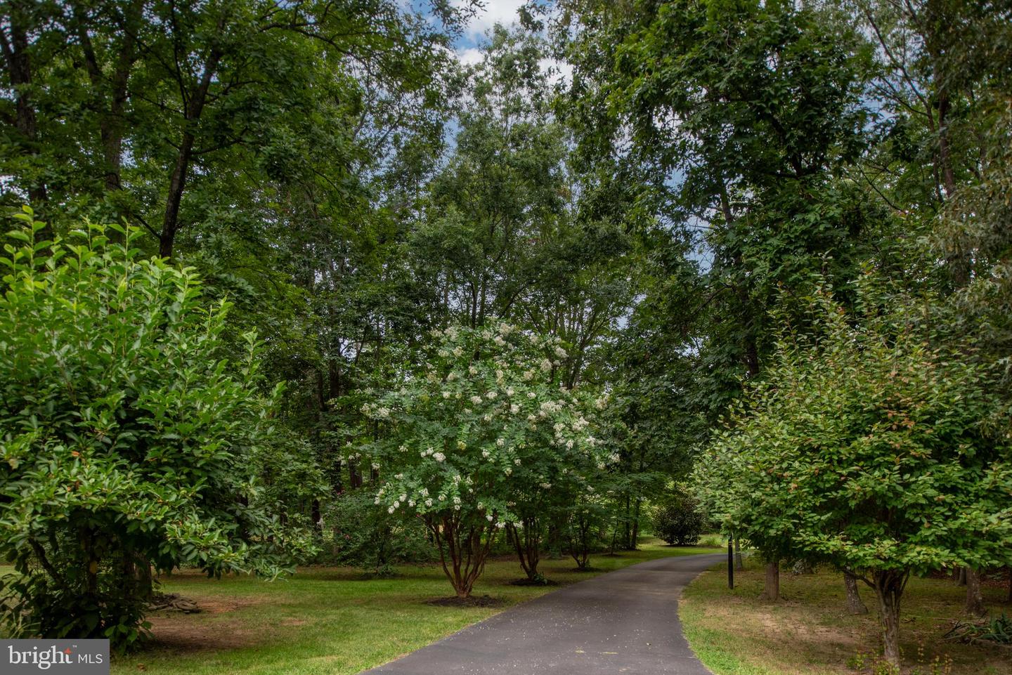 8107 WATERFORD DR, SPOTSYLVANIA, Virginia 22551, 5 Bedrooms Bedrooms, ,4 BathroomsBathrooms,Residential,For sale,8107 WATERFORD DR,VASP2035260 MLS # VASP2035260