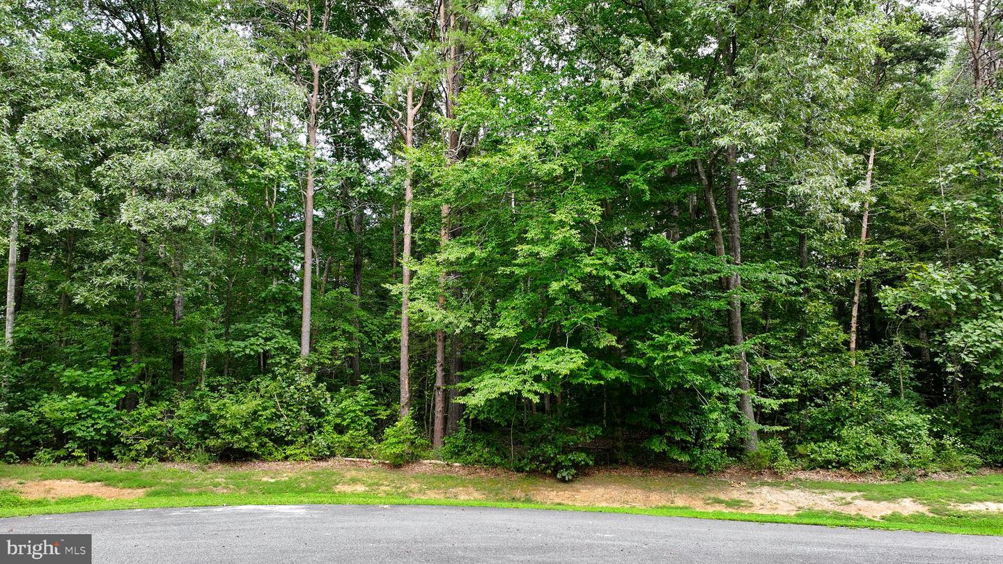 7315 SUGAR HOLLOW RD, ORANGE, Virginia 22960, ,Land,For sale,7315 SUGAR HOLLOW RD,VASP2035196 MLS # VASP2035196