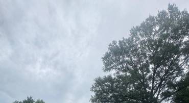 4313 & 4319 HADAMAR RD, SPOTSYLVANIA, Virginia 22551, 9 Bedrooms Bedrooms, ,6 BathroomsBathrooms,Residential,For sale,4313 & 4319 HADAMAR RD,VASP2035328 MLS # VASP2035328