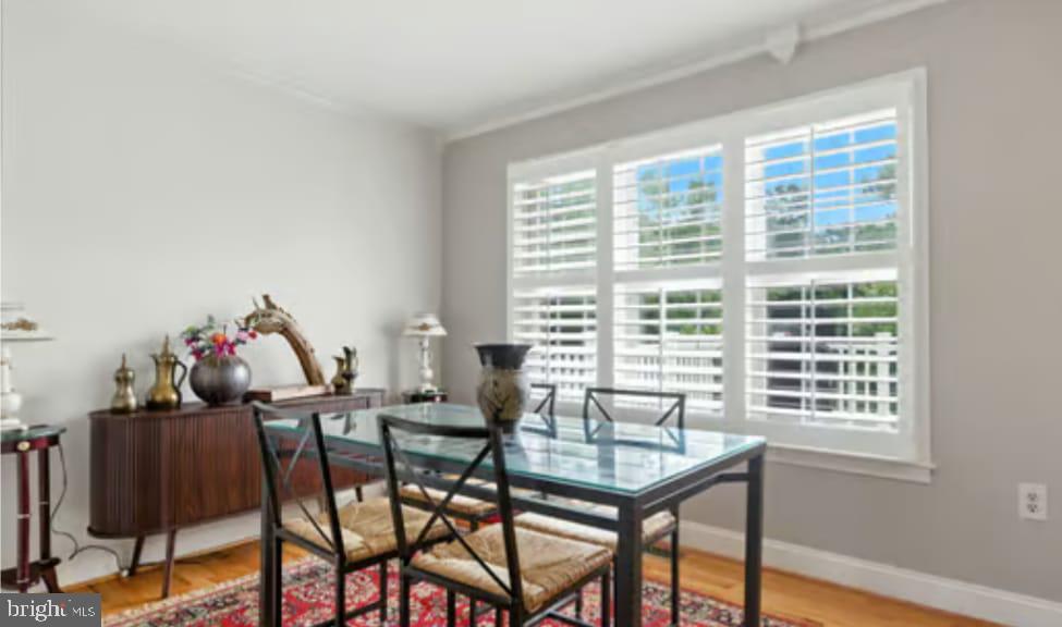 104 PRIMROSE PL, WINCHESTER, Virginia 22602, 3 Bedrooms Bedrooms, ,2 BathroomsBathrooms,Residential,For sale,104 PRIMROSE PL,VAFV2035982 MLS # VAFV2035982 104 PRIMROSE PL, WINCHESTER, Virginia 22602, 3 Bedrooms Bedrooms, ,2 BathroomsBathrooms,Residential,For sale,104 PRIMROSE PL,VAFV2035982 MLS # VAFV2035982