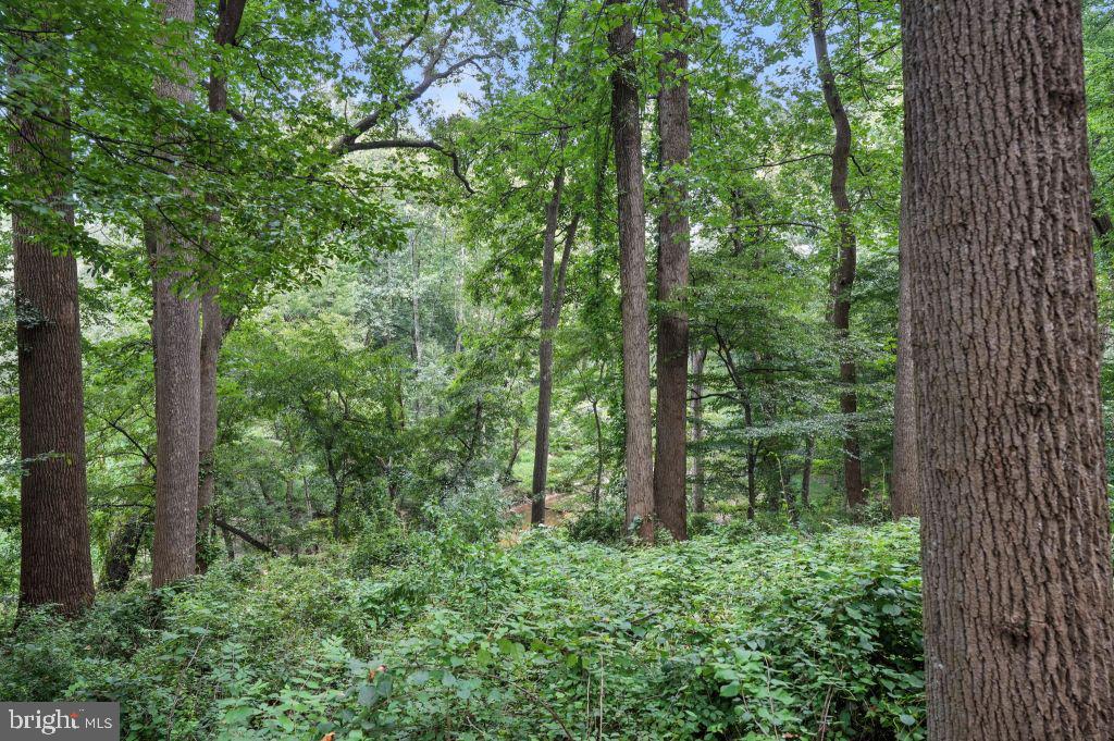 1536 WINDSTONE DR, VIENNA, Virginia 22182, 5 Bedrooms Bedrooms, ,5 BathroomsBathrooms,Residential,For sale,1536 WINDSTONE DR,VAFX2260172 MLS # VAFX2260172