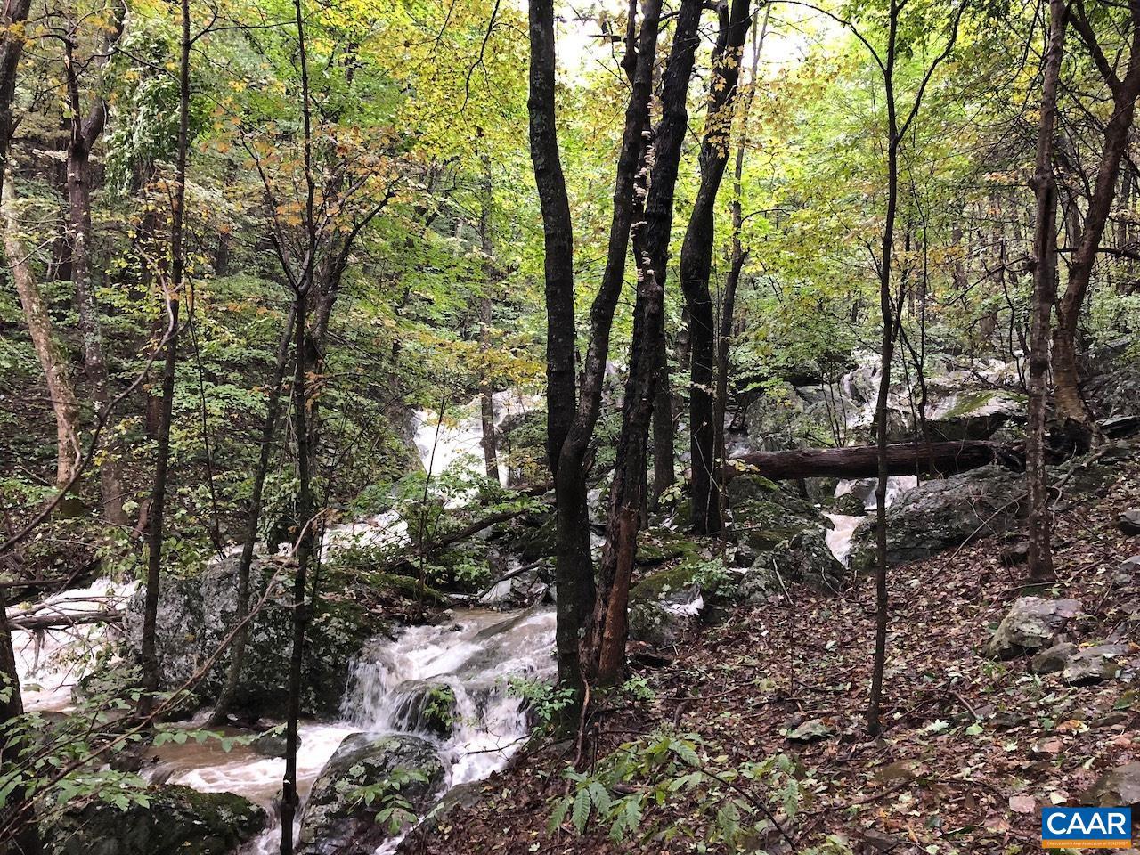 21 WEEPING ROCK LN, WINTERGREEN RESORT, Virginia 22967, 4 Bedrooms Bedrooms, ,4 BathroomsBathrooms,Residential,For sale,21 WEEPING ROCK LN,667634 MLS # 667634