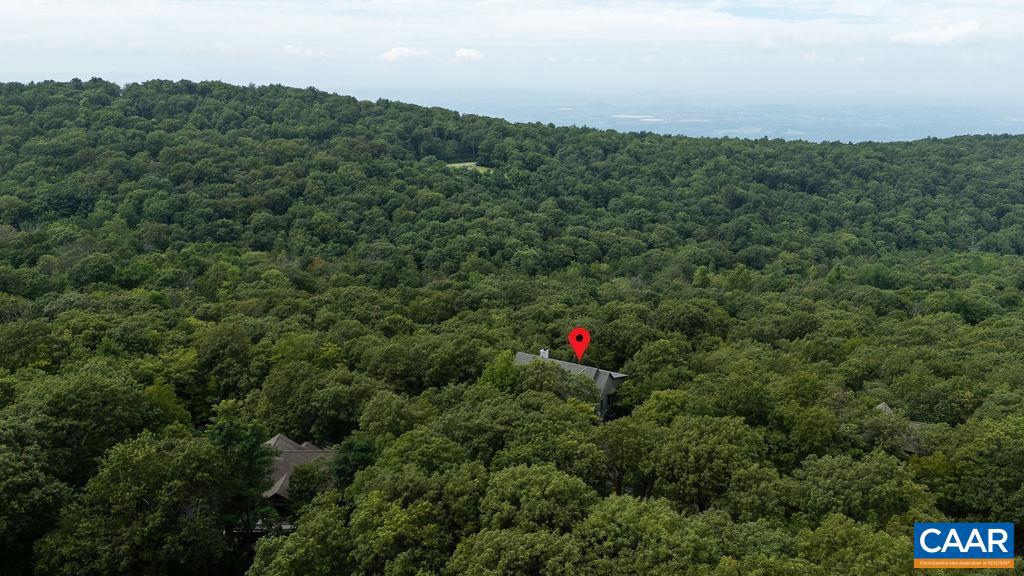 1142 BLUE RIDGE DR, WINTERGREEN RESORT, Virginia 22967, 6 Bedrooms Bedrooms, ,5 BathroomsBathrooms,Residential,For sale,1142 BLUE RIDGE DR,667646 MLS # 667646