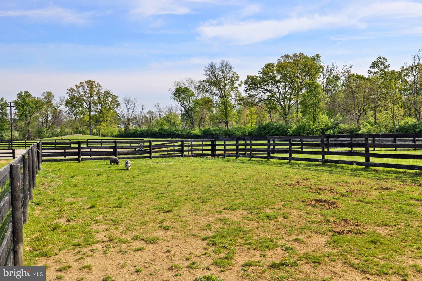 19798 FOGGY BOTTOM RD, BLUEMONT, Virginia 20135, 3 Bedrooms Bedrooms, ,2 BathroomsBathrooms,Residential,For sale,19798 FOGGY BOTTOM RD,VALO2087556 MLS # VALO2087556
