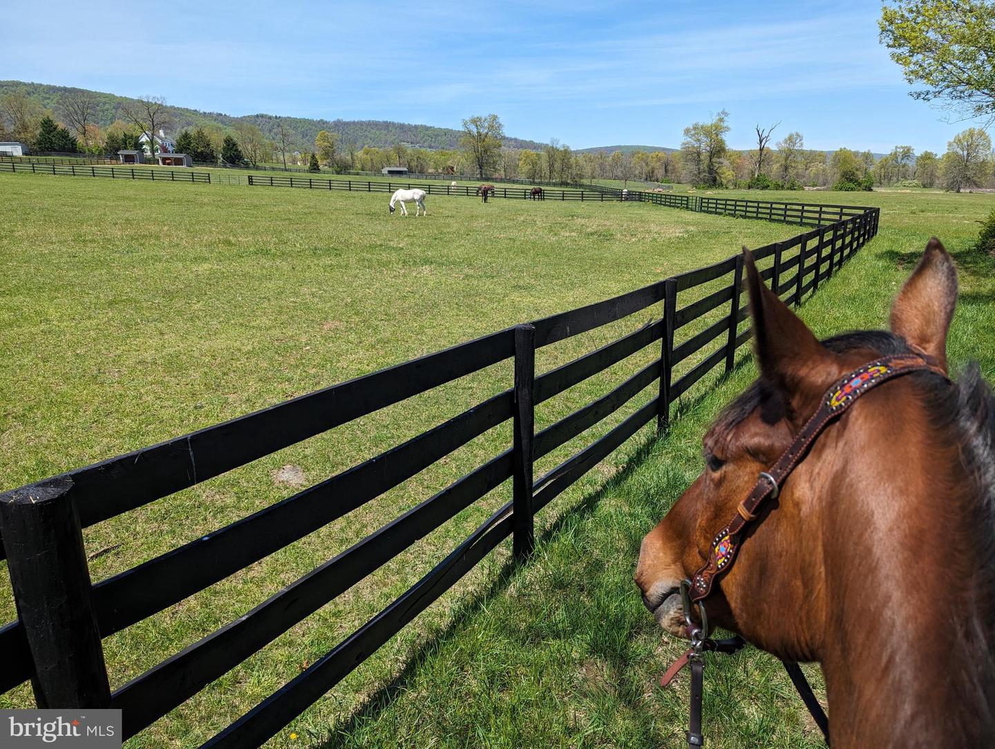 19798 FOGGY BOTTOM RD, BLUEMONT, Virginia 20135, 3 Bedrooms Bedrooms, ,2 BathroomsBathrooms,Residential,For sale,19798 FOGGY BOTTOM RD,VALO2087556 MLS # VALO2087556