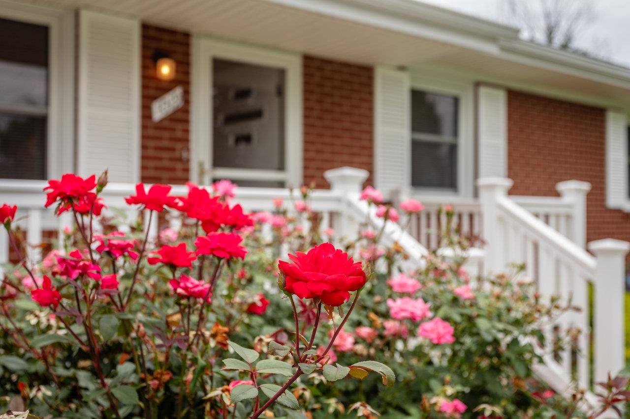 1019 ROCKINGHAM DR, HARRISONBURG, Virginia 22802, 3 Bedrooms Bedrooms, ,1 BathroomBathrooms,Residential,1019 ROCKINGHAM DR,667662 MLS # 667662