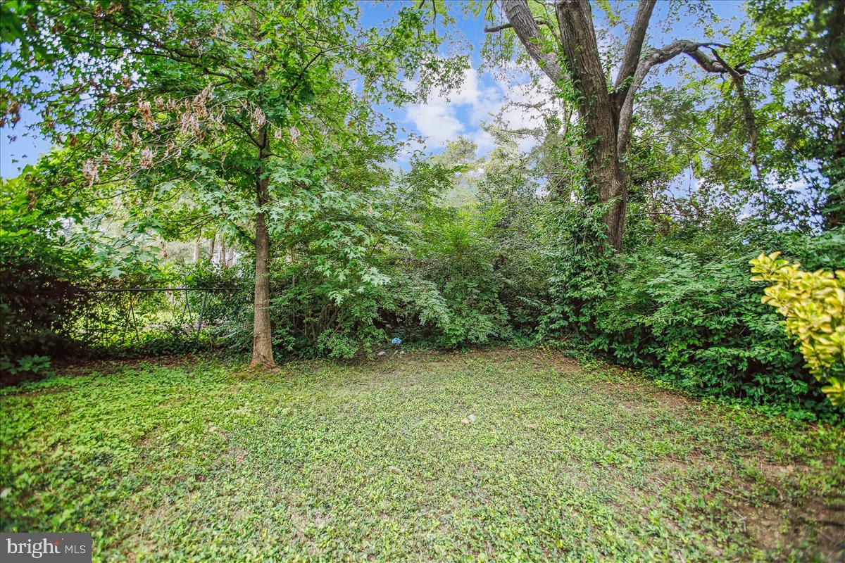 1600 REVERE DR, ALEXANDRIA, Virginia 22308, 3 Bedrooms Bedrooms, ,2 BathroomsBathrooms,Residential,For sale,1600 REVERE DR,VAFX2259334 MLS # VAFX2259334