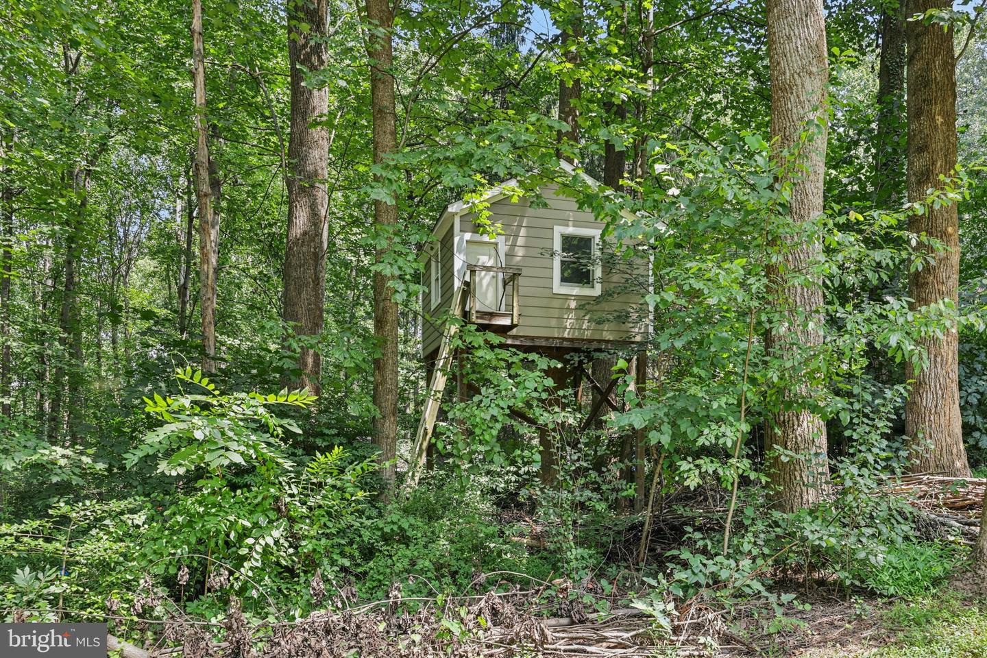 2005 ADAMS HILL RD, VIENNA, Virginia 22182, 5 Bedrooms Bedrooms, ,2 BathroomsBathrooms,Residential,For sale,2005 ADAMS HILL RD,VAFX2259628 MLS # VAFX2259628