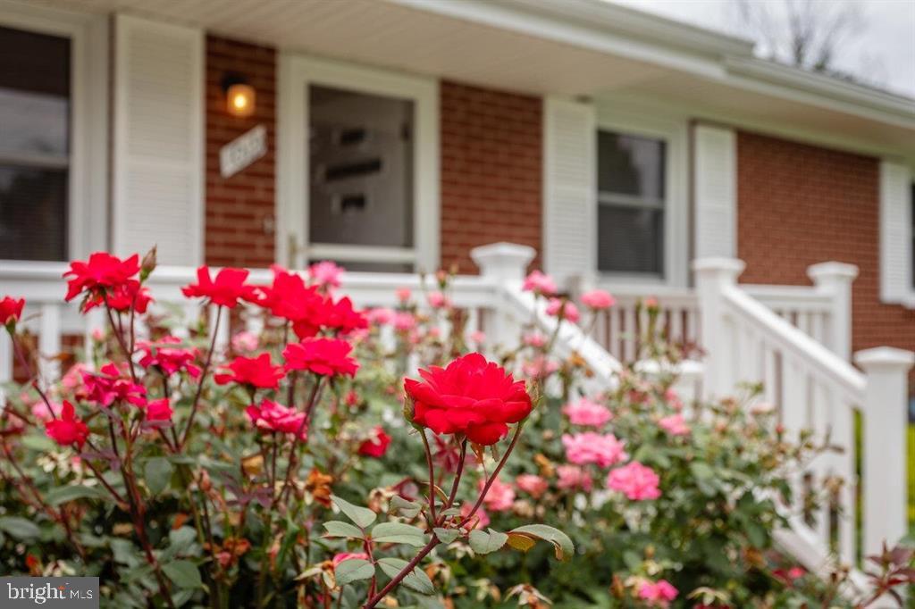 1019 ROCKINGHAM DR, HARRISONBURG, Virginia 22802, 3 Bedrooms Bedrooms, ,1 BathroomBathrooms,Residential,For sale,1019 ROCKINGHAM DR,VAHC2000458 MLS # VAHC2000458