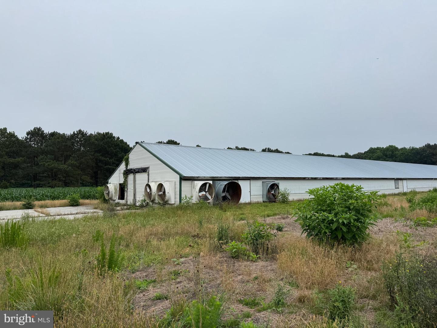 25495 SAXIS RD, TEMPERANCEVILLE, Virginia 23442, ,Farm,For sale,25495 SAXIS RD,VAAC2002154 MLS # VAAC2002154