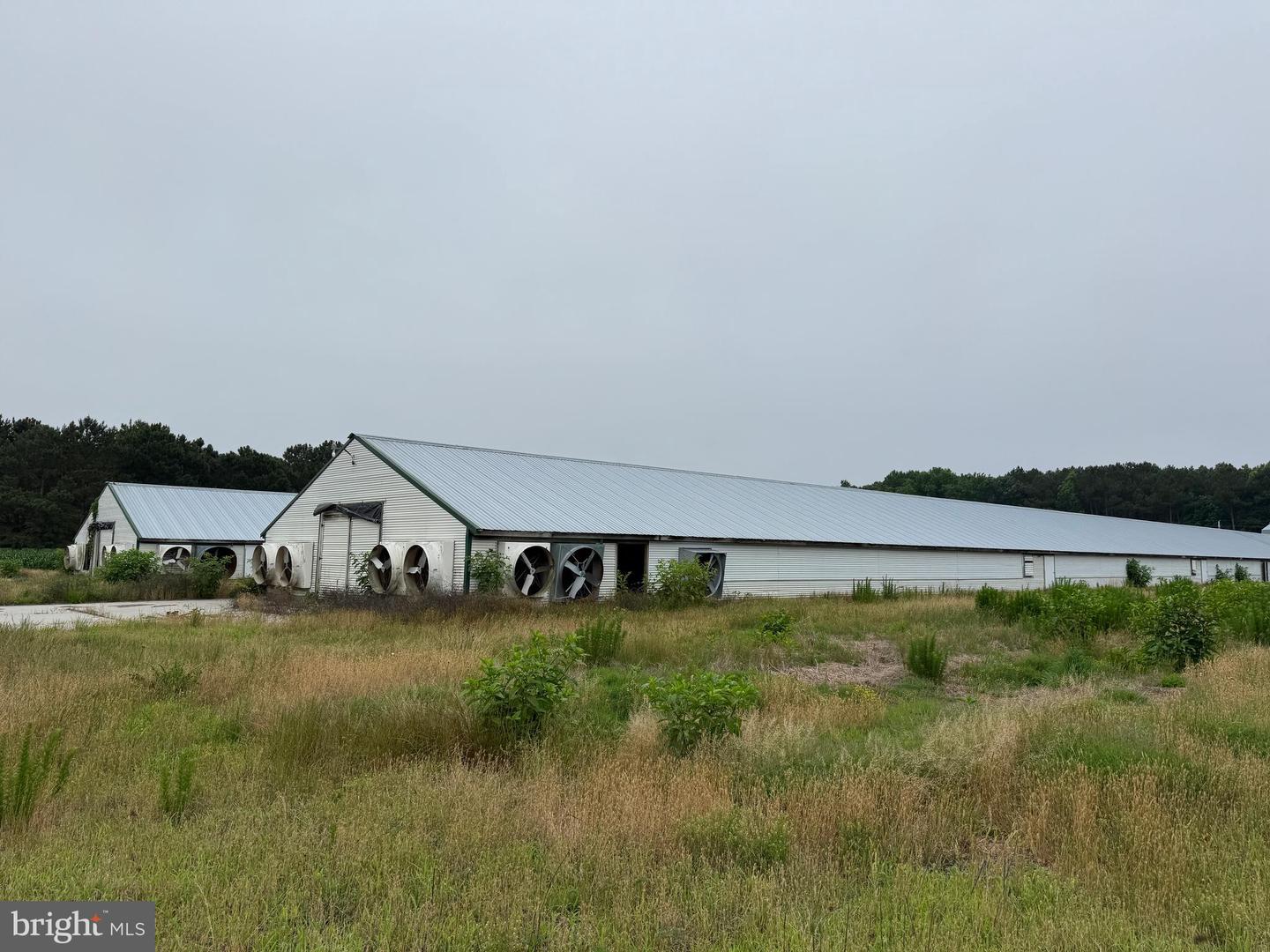 25495 SAXIS RD, TEMPERANCEVILLE, Virginia 23442, ,Farm,For sale,25495 SAXIS RD,VAAC2002154 MLS # VAAC2002154