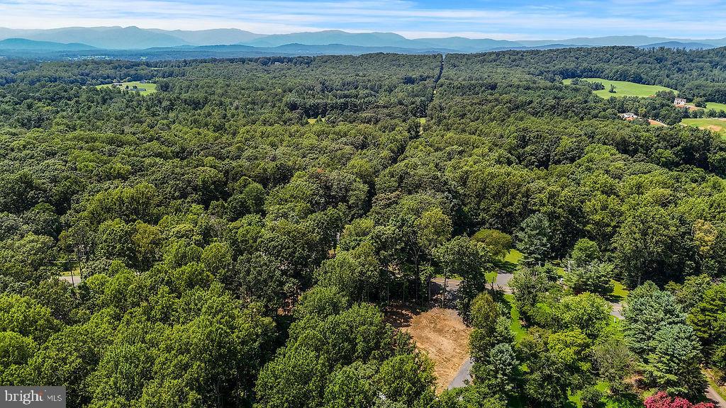 13191 SCOTTS MILL RD, CULPEPER, Virginia 22701, 5 Bedrooms Bedrooms, ,3 BathroomsBathrooms,Residential,13191 SCOTTS MILL RD,VACU2010666 MLS # VACU2010666