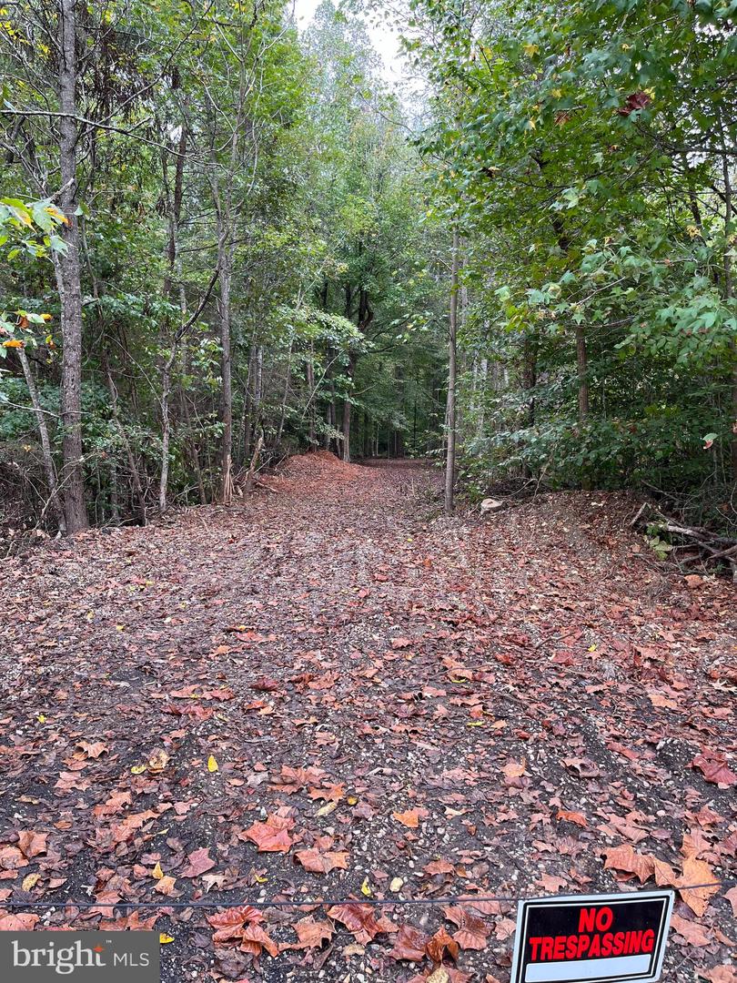 10820 CLOVERDALE ST, FREDERICKSBURG, Virginia 22407, ,Land,For sale,10820 CLOVERDALE ST,VASP2033628 MLS # VASP2033628 10820 CLOVERDALE ST, FREDERICKSBURG, Virginia 22407, ,Land,For sale,10820 CLOVERDALE ST,VASP2033628 MLS # VASP2033628