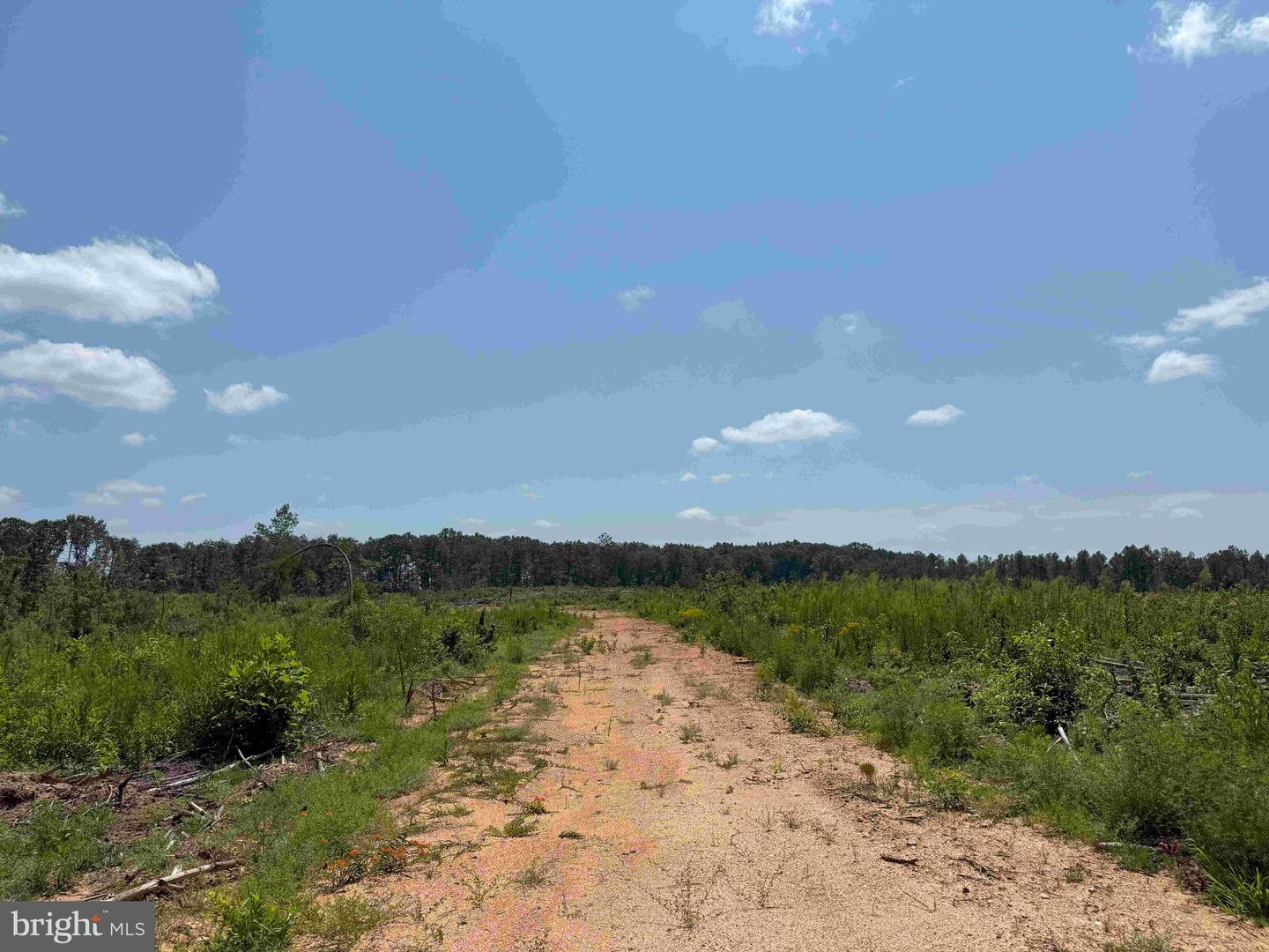 WEST RIVER ROAD (RT. 6) (TRACT: JR A.J. COLLINS-1, SCOTTSVILLE, Virginia 24590, ,Farm,For sale,WEST RIVER ROAD (RT. 6) (TRACT: JR A.J. COLLINS-1,VAFN2000486 MLS # VAFN2000486