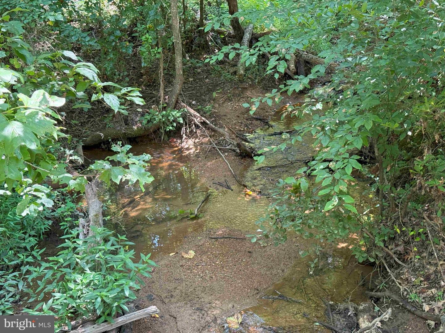 WEST RIVER ROAD (RT. 6) (TRACT: JR A.J. COLLINS-1, SCOTTSVILLE, Virginia 24590, ,Farm,For sale,WEST RIVER ROAD (RT. 6) (TRACT: JR A.J. COLLINS-1,VAFN2000486 MLS # VAFN2000486