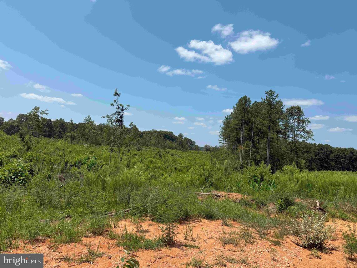 WEST RIVER ROAD (RT. 6) (TRACT: JR A.J. COLLINS-1, SCOTTSVILLE, Virginia 24590, ,Farm,For sale,WEST RIVER ROAD (RT. 6) (TRACT: JR A.J. COLLINS-1,VAFN2000486 MLS # VAFN2000486