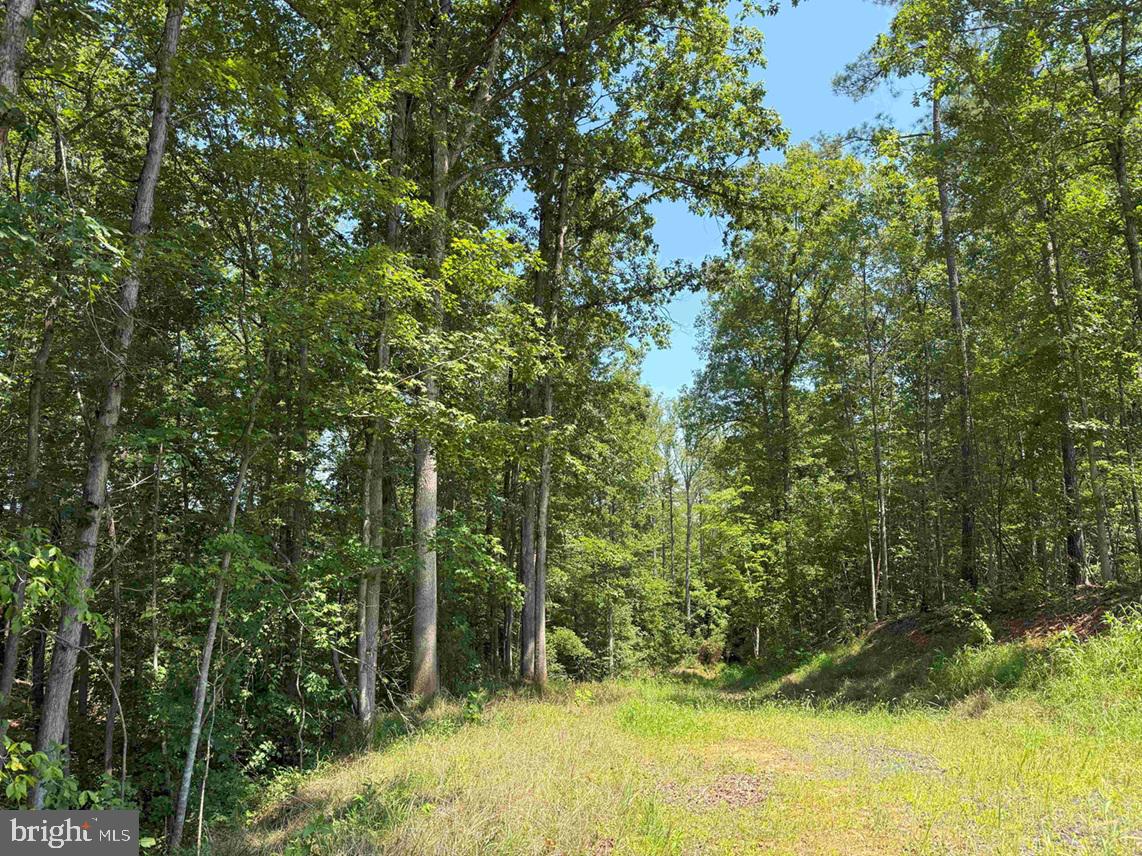 WEST RIVER ROAD (RT. 6) (TRACT: JR A.J. COLLINS-1, SCOTTSVILLE, Virginia 24590, ,Farm,For sale,WEST RIVER ROAD (RT. 6) (TRACT: JR A.J. COLLINS-1,VAFN2000486 MLS # VAFN2000486