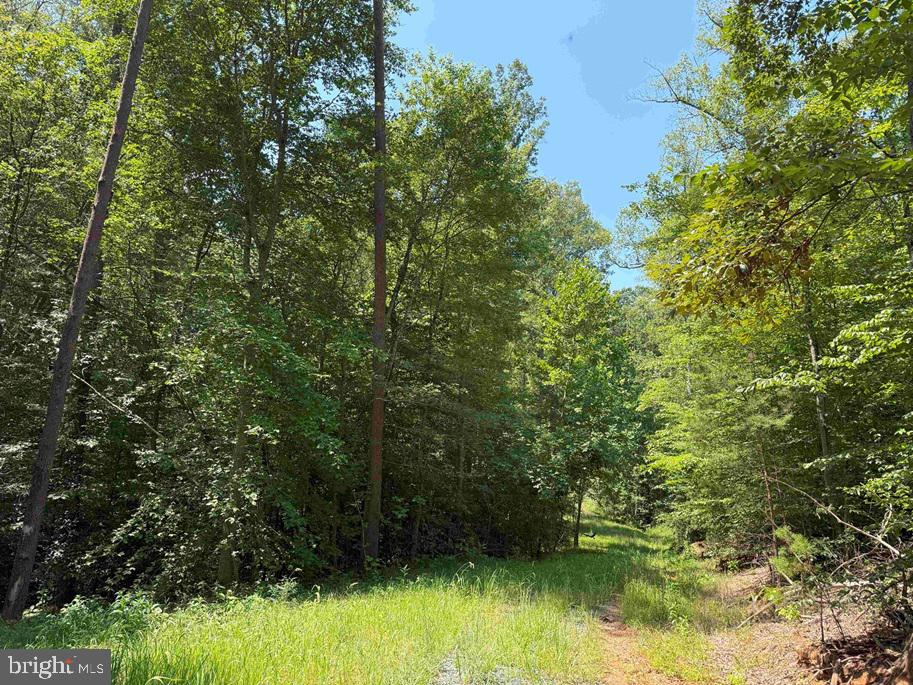 WEST RIVER ROAD (RT. 6) (TRACT: JR A.J. COLLINS-1, SCOTTSVILLE, Virginia 24590, ,Farm,For sale,WEST RIVER ROAD (RT. 6) (TRACT: JR A.J. COLLINS-1,VAFN2000486 MLS # VAFN2000486