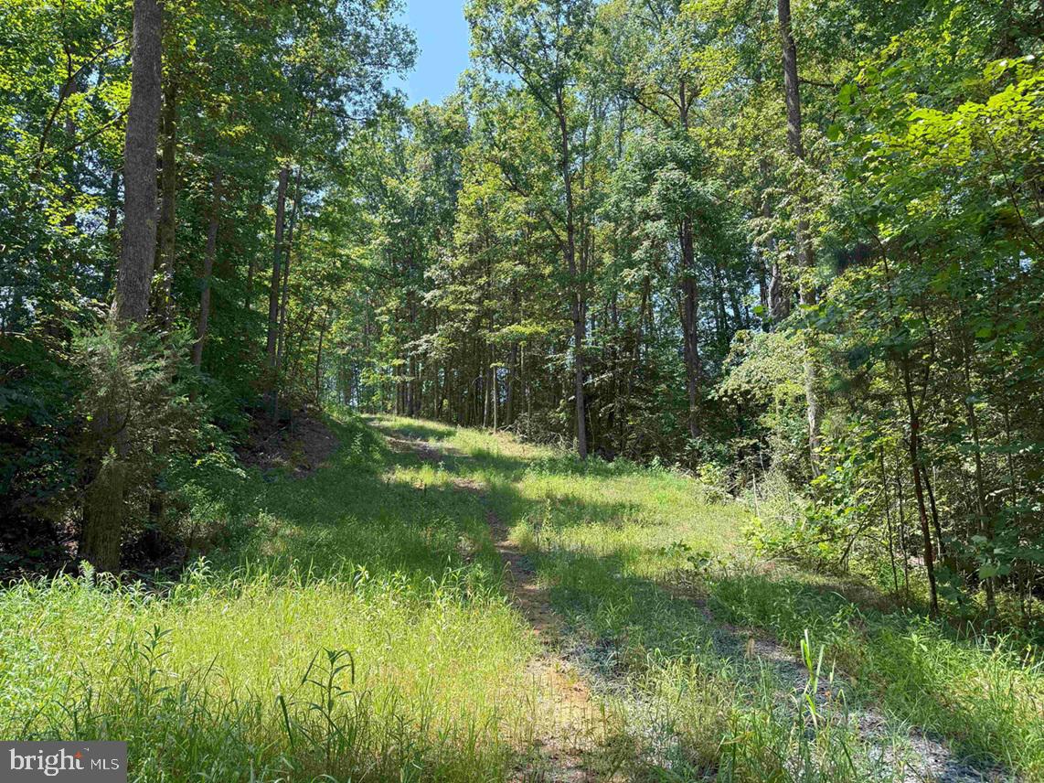WEST RIVER ROAD (RT. 6) (TRACT: JR A.J. COLLINS-1, SCOTTSVILLE, Virginia 24590, ,Farm,For sale,WEST RIVER ROAD (RT. 6) (TRACT: JR A.J. COLLINS-1,VAFN2000486 MLS # VAFN2000486