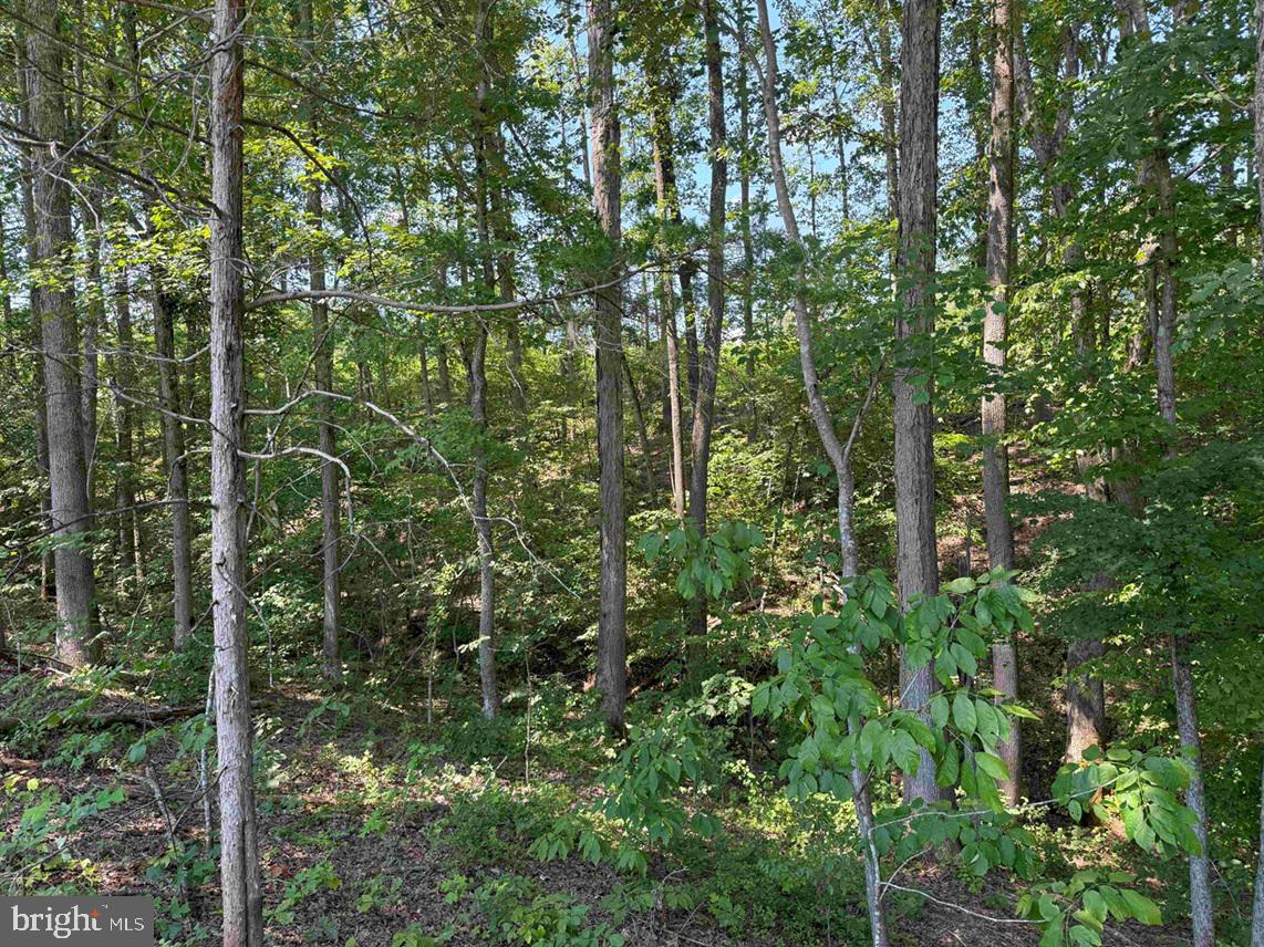WEST RIVER ROAD (RT. 6) (TRACT: JR A.J. COLLINS-1, SCOTTSVILLE, Virginia 24590, ,Farm,For sale,WEST RIVER ROAD (RT. 6) (TRACT: JR A.J. COLLINS-1,VAFN2000486 MLS # VAFN2000486