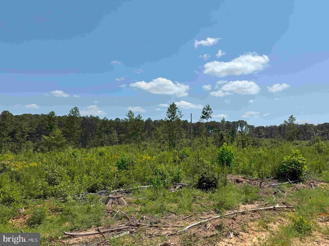 WEST RIVER ROAD (RT. 6) (TRACT: JR A.J. COLLINS-1, SCOTTSVILLE, Virginia 24590, ,Farm,For sale,WEST RIVER ROAD (RT. 6) (TRACT: JR A.J. COLLINS-1,VAFN2000486 MLS # VAFN2000486