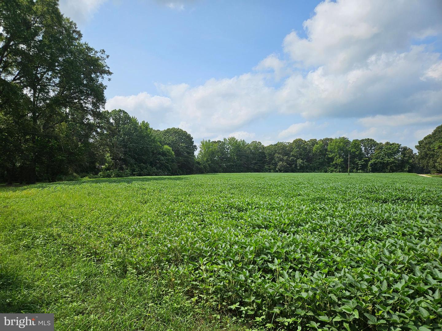 EASEMENT OFF OF LADYSMITH ROAD, RUTHER GLEN, Virginia 22546, ,Land,For sale,EASEMENT OFF OF LADYSMITH ROAD,VACV2008658 MLS # VACV2008658