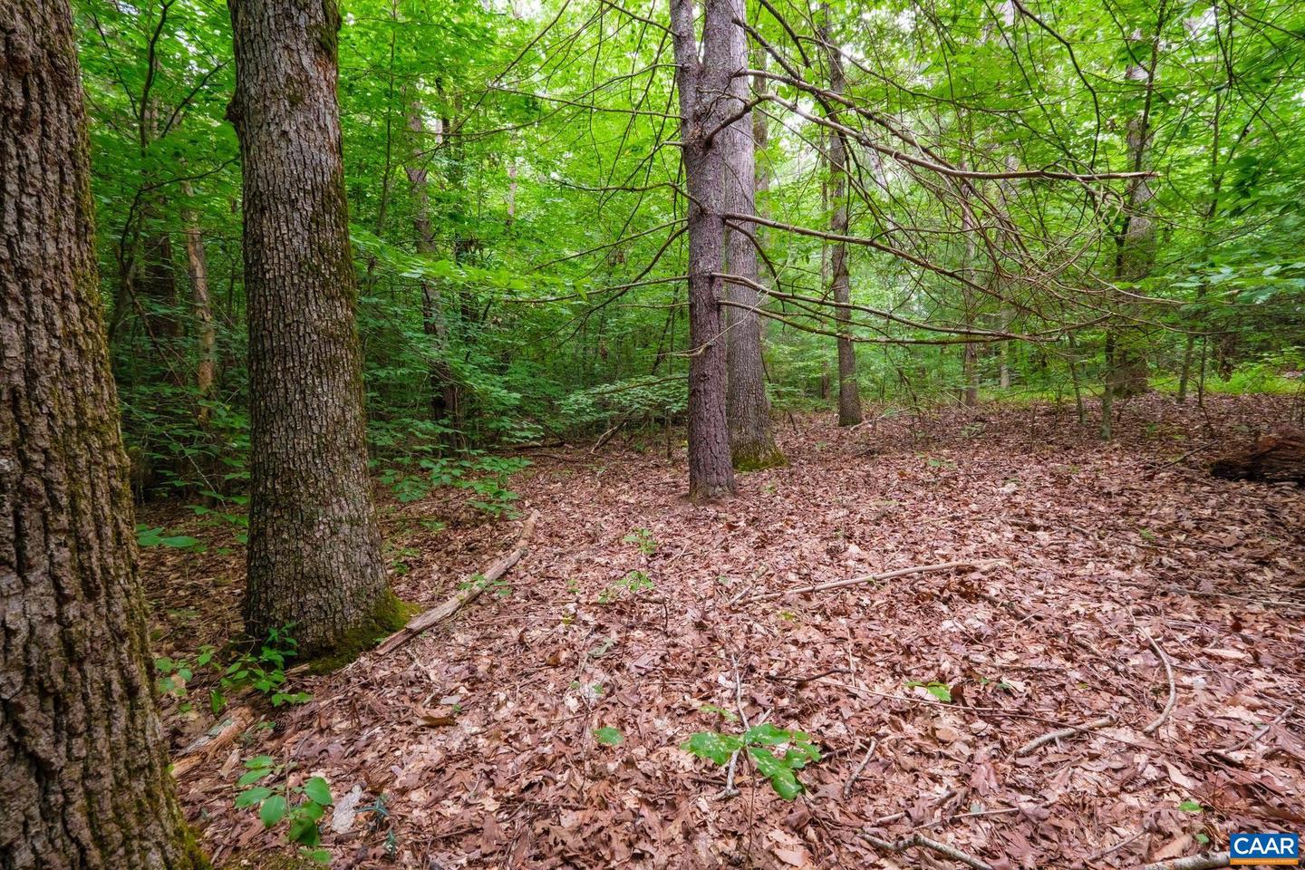 LOT T8 LONDON CT, RUCKERSVILLE, Virginia 22968, ,Land,For sale,LOT T8 LONDON CT,667691 MLS # 667691