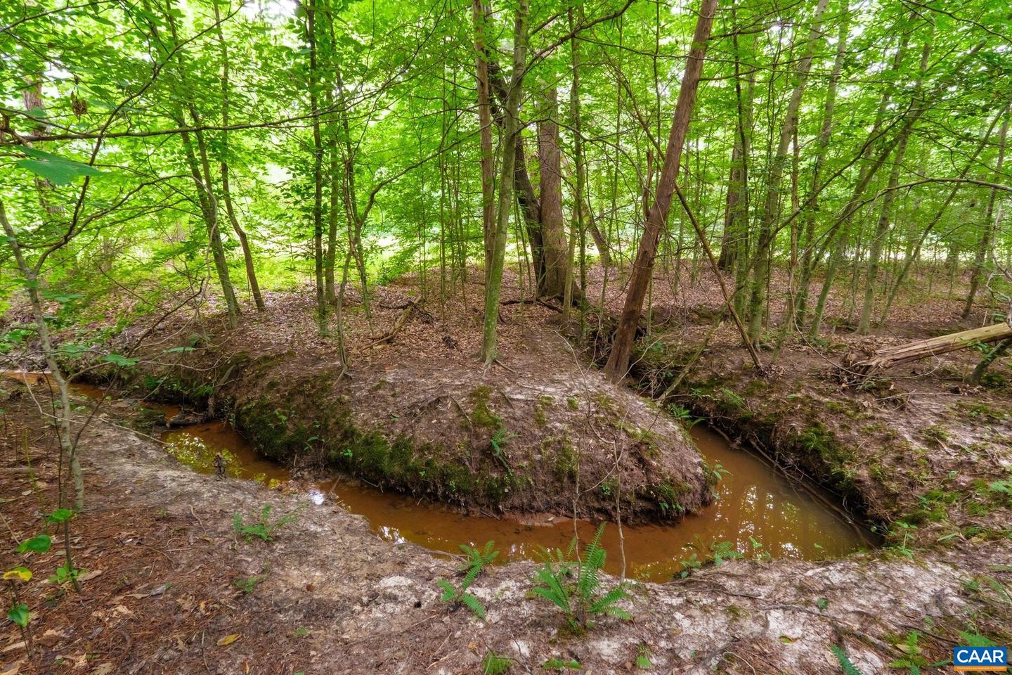 LOT T8 LONDON CT, RUCKERSVILLE, Virginia 22968, ,Land,For sale,LOT T8 LONDON CT,667691 MLS # 667691