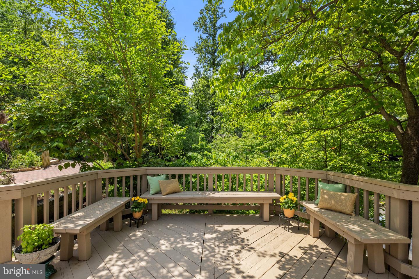 2323 N VERMONT ST, ARLINGTON, Virginia 22207, 4 Bedrooms Bedrooms, ,3 BathroomsBathrooms,Residential,For sale,2323 N VERMONT ST,VAAR2057876 MLS # VAAR2057876
