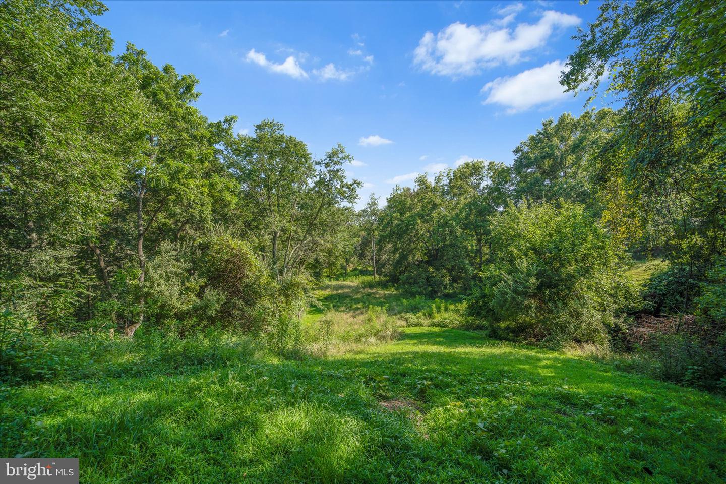 38830 OLD WHEATLAND RD, WATERFORD, Virginia 20197, 4 Bedrooms Bedrooms, ,3 BathroomsBathrooms,Residential,For sale,38830 OLD WHEATLAND RD,VALO2102666 MLS # VALO2102666