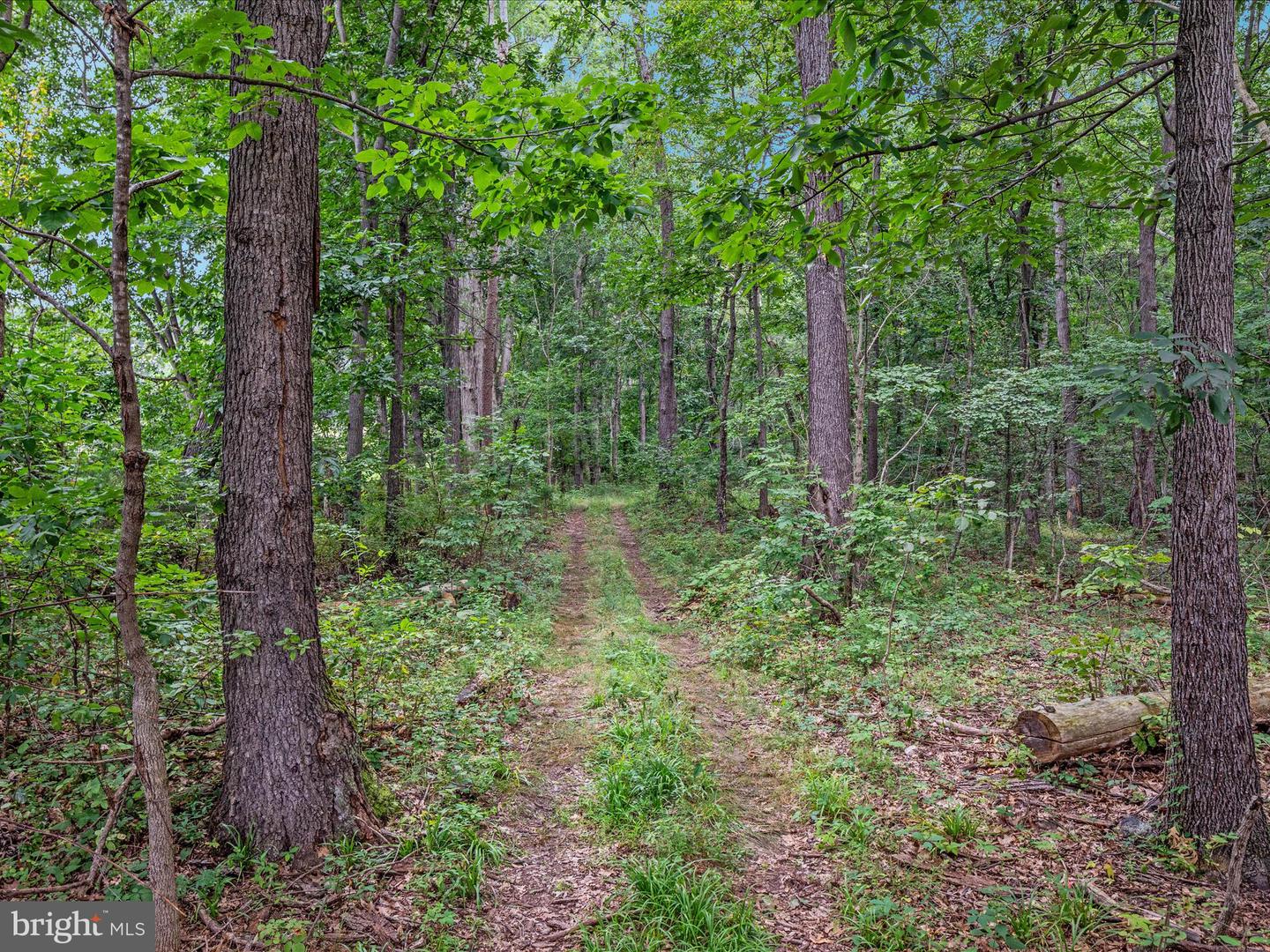 254 CARTE LN, MOUNT JACKSON, Virginia 22842, 2 Bedrooms Bedrooms, ,2 BathroomsBathrooms,Residential,For sale,254 CARTE LN,VASH2012078 MLS # VASH2012078